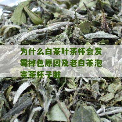 为什么白茶叶茶杯会发霉掉色原因及老白茶泡完茶杯子脏