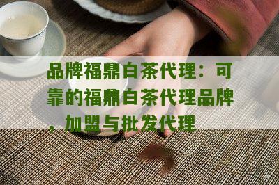 品牌福鼎白茶代理：可靠的福鼎白茶代理品牌，加盟与批发代理