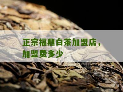 正宗福鼎白茶加盟店，加盟费多少