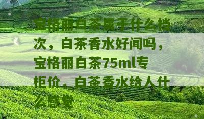 宝格丽白茶属于什么档次，白茶香水好闻吗，宝格丽白茶75ml专柜价，白茶香水给人什么感觉