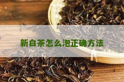 新白茶怎么泡正确方法