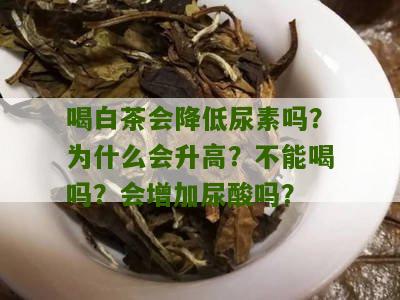 喝白茶会降低尿素吗？为什么会升高？不能喝吗？会增加尿酸吗？