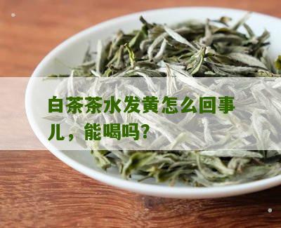 白茶茶水发黄怎么回事儿，能喝吗？