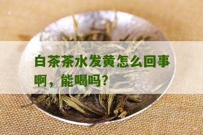 白茶茶水发黄怎么回事啊，能喝吗？