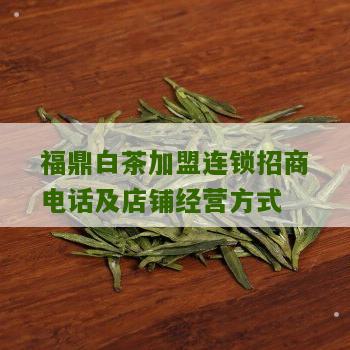 福鼎白茶加盟连锁招商电话及店铺经营方式