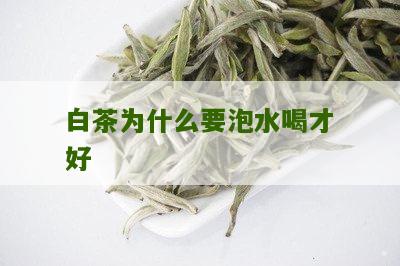 白茶为什么要泡水喝才好