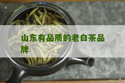 山东有品质的老白茶品牌