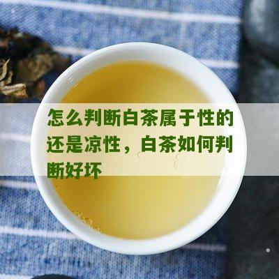 怎么判断白茶属于性的还是凉性，白茶如何判断好坏