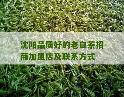 沈阳品质好的老白茶招商加盟店及联系方式