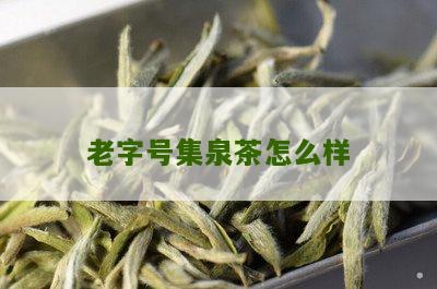 老字号集泉茶怎么样