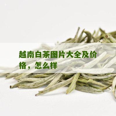 越南白茶图片大全及价格，怎么样