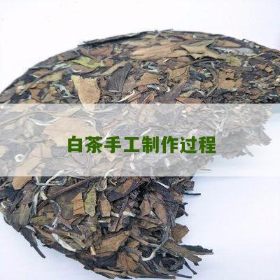 白茶手工制作过程