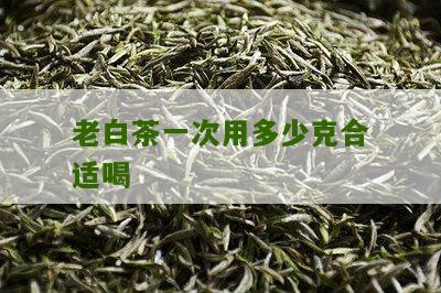 老白茶一次用多少克合适喝