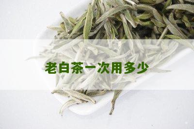 老白茶一次用多少