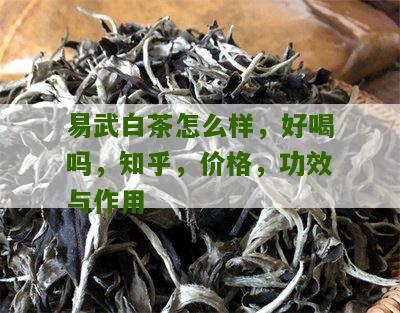 易武白茶怎么样，好喝吗，知乎，价格，功效与作用