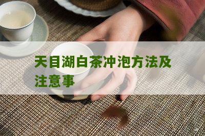 天目湖白茶冲泡方法及注意事