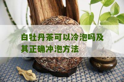 白牡丹茶可以冷泡吗及其正确冲泡方法