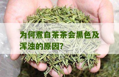 为何煮白茶茶会黑色及浑浊的原因？