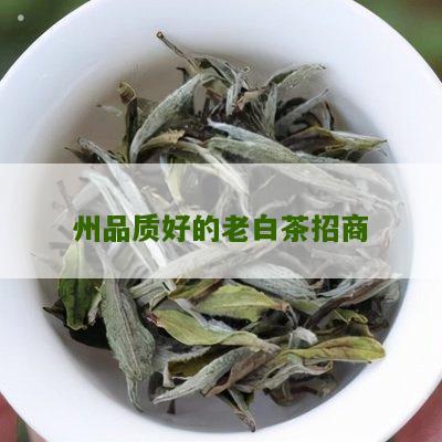 州品质好的老白茶招商