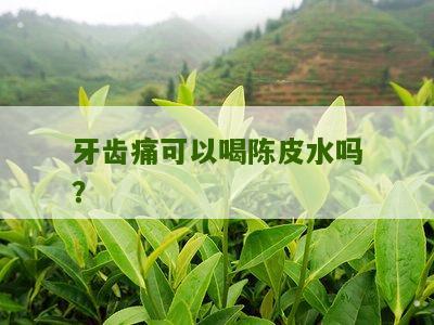 牙齿痛可以喝陈皮水吗？