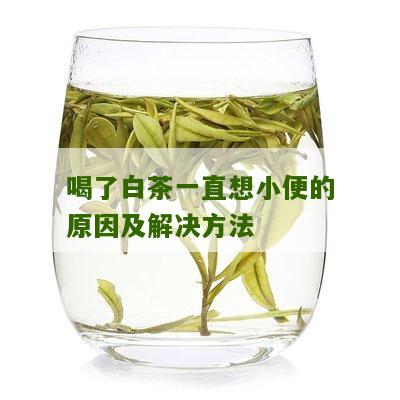 喝了白茶一直想小便的原因及解决方法