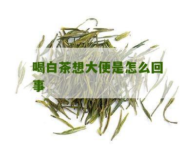 喝白茶想大便是怎么回事