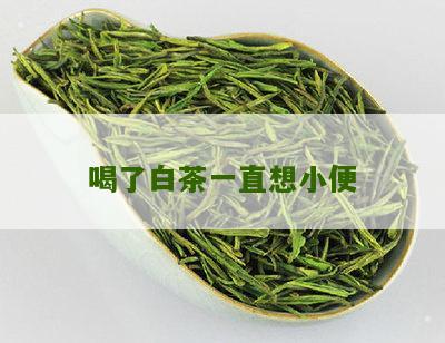 喝了白茶一直想小便