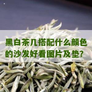 黑白茶几搭配什么颜色的沙发好看图片及垫？