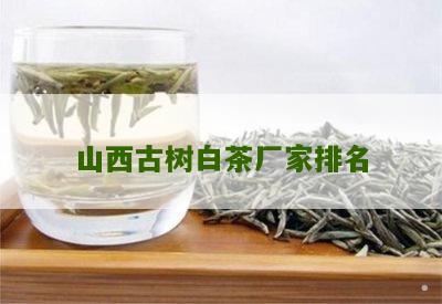 山西古树白茶厂家排名