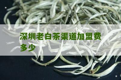 深圳老白茶渠道加盟费多少