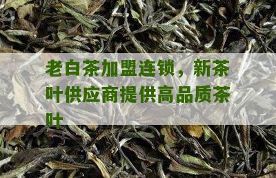 老白茶加盟连锁，新茶叶供应商提供高品质茶叶