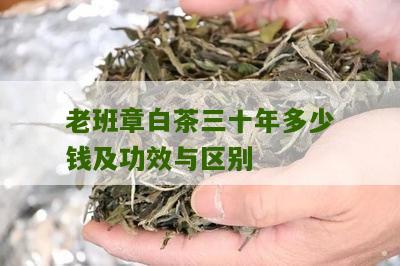 老班章白茶三十年多少钱及功效与区别