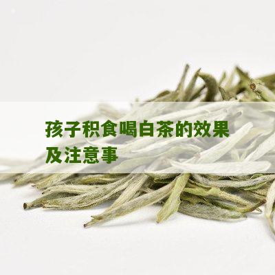 孩子积食喝白茶的效果及注意事