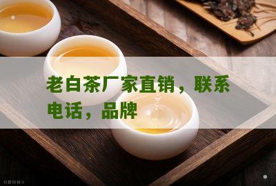 老白茶厂家直销，联系电话，品牌