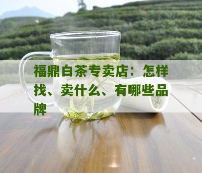 福鼎白茶专卖店：怎样找、卖什么、有哪些品牌