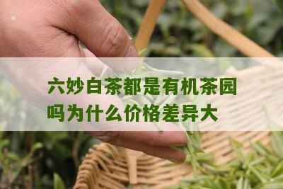 六妙白茶都是有机茶园吗为什么价格差异大