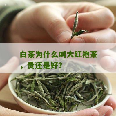 白茶为什么叫大红袍茶，贵还是好？