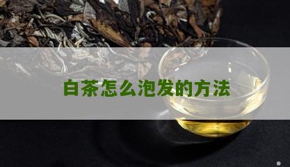 白茶怎么泡发的方法