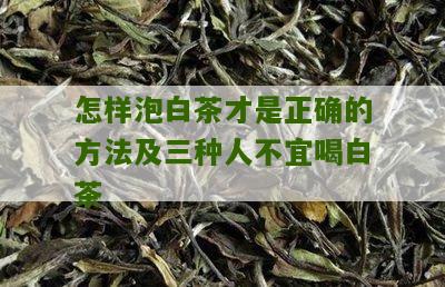 怎样泡白茶才是正确的方法及三种人不宜喝白茶