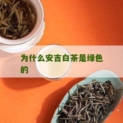 为什么安吉白茶是绿色的