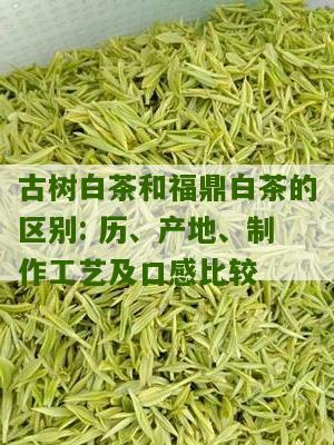 古树白茶和福鼎白茶的区别: 历、产地、制作工艺及口感比较