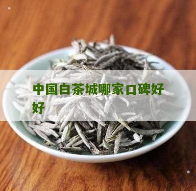 中国白茶城哪家口碑好好