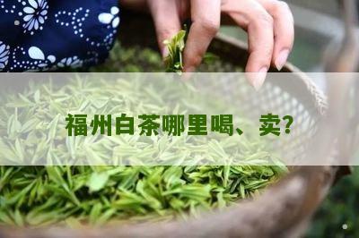 福州白茶哪里喝、卖？