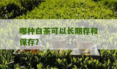 哪种白茶可以长期存和保存？