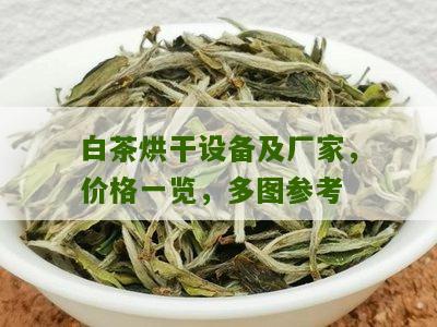 白茶烘干设备及厂家，价格一览，多图参考