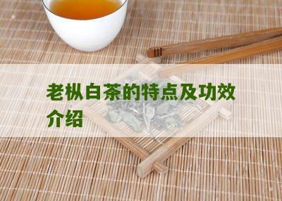 老枞白茶的特点及功效介绍