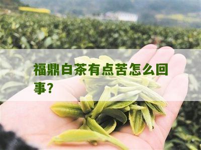 福鼎白茶有点苦怎么回事？