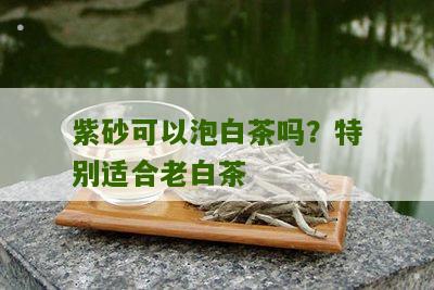 紫砂可以泡白茶吗？特别适合老白茶