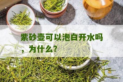 紫砂壶可以泡白开水吗，为什么？