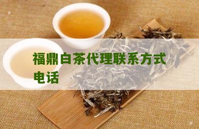 福鼎白茶代理联系方式电话